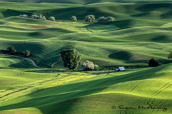 Art Photography Rolling Hills